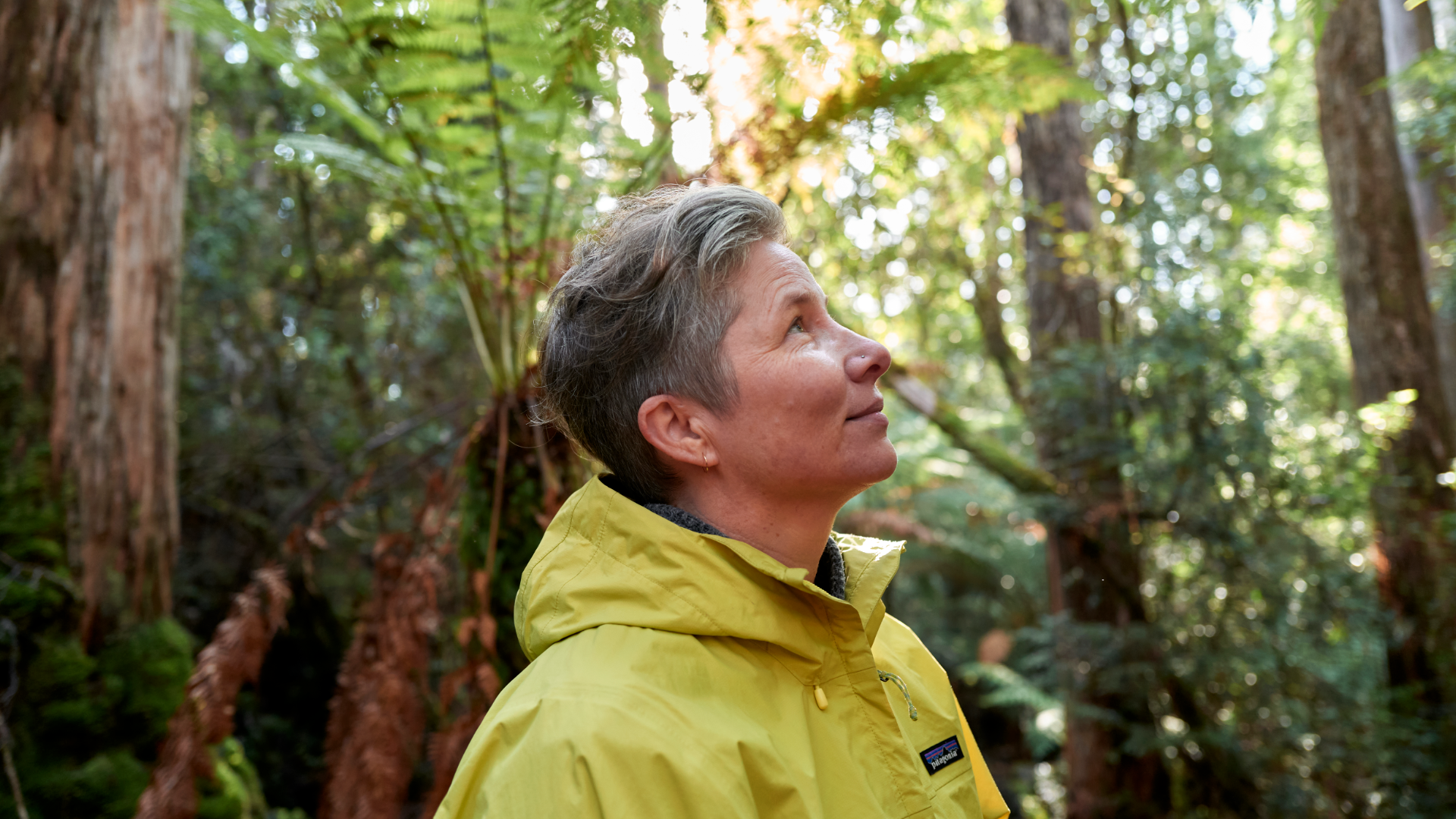 Person looking at trees in the wilderness
