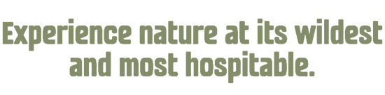 Untitled design (49)